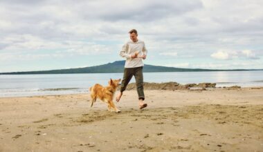 Kudos for NZ pet food company - Sponsored Stories News