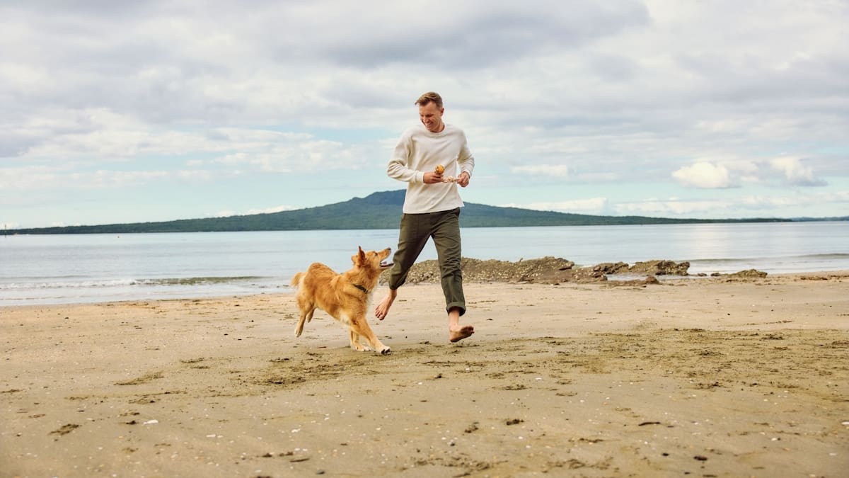 Kudos for NZ pet food company - Sponsored Stories News