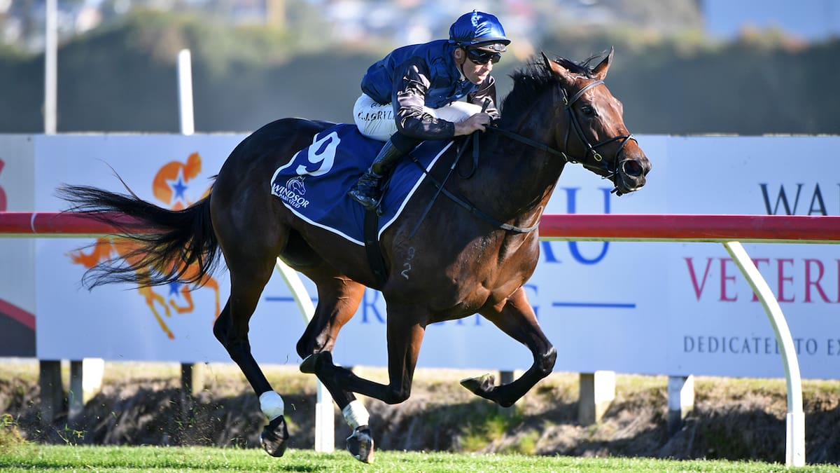 Drop Of God’s Te Rapa win highlight of huge black-type day for Te Akau
