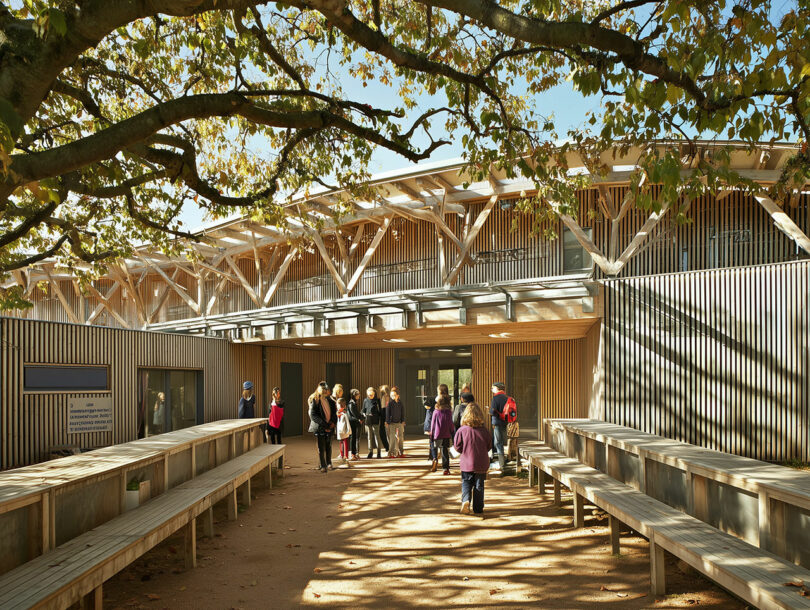 A group of people stand outside a modern building with wooden benches and a canopy of tree branches overhead on a sunny day.
