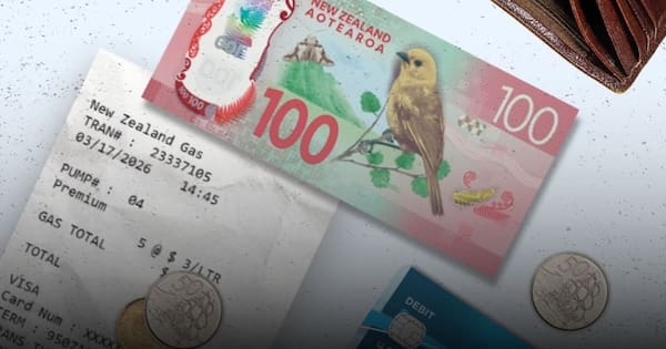 Spending data worse than it appears, Retail NZ says