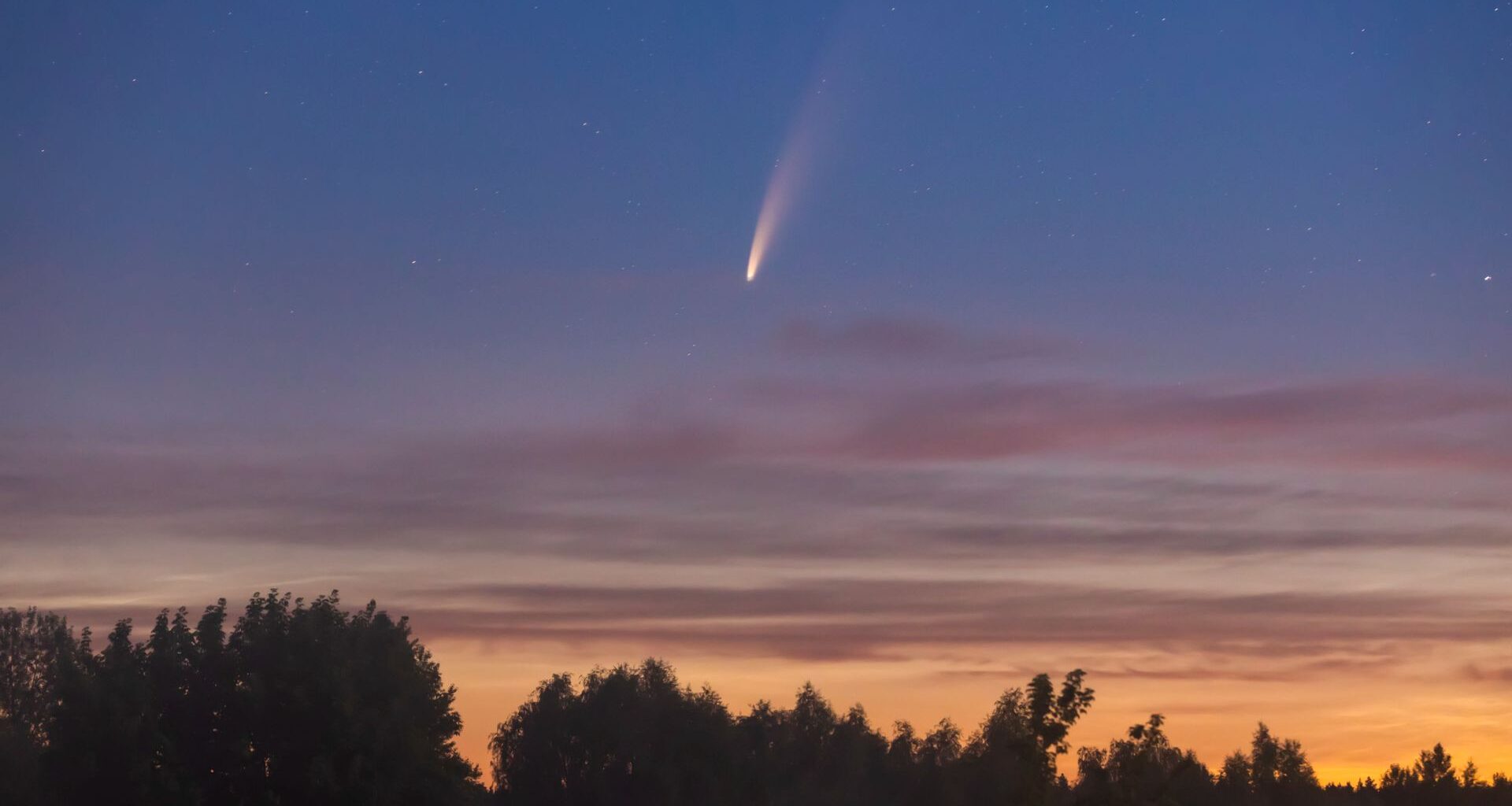 A bright streak of pink and white light is seen in a light purple and orange dusky sky as a comet moves above silhouetted trees below.