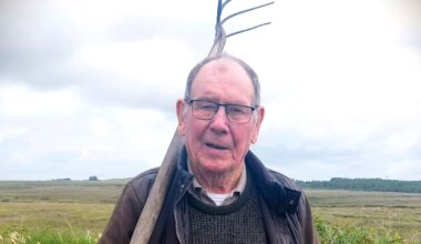 the best new shows to watch, starting tonight – The Irish Times