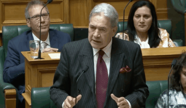 New Zealand First pledges to break up supermarket duopoly, lift commission powers