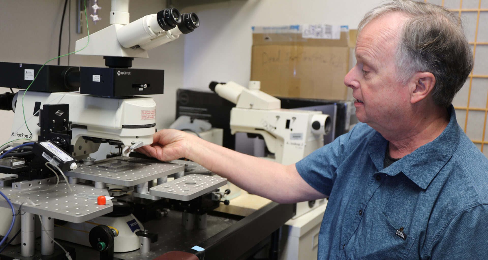 Research links tinnitus with serotonin