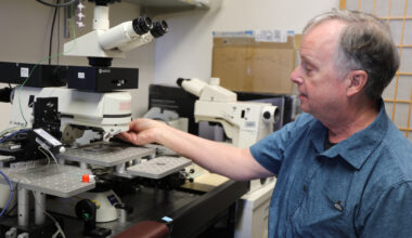 Research links tinnitus with serotonin