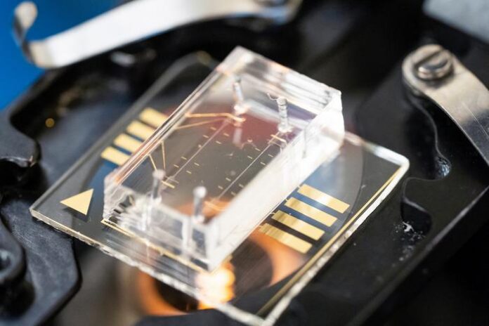 Researchers at UC Berkeley and City of Hope have developed a machine-learning platform to identify individuals susceptible to breast cancer based on mechanical properties of single cells. This photo depicts the MechanoAge platform. [Credit: Adam Lau/Berkeley Engineering]