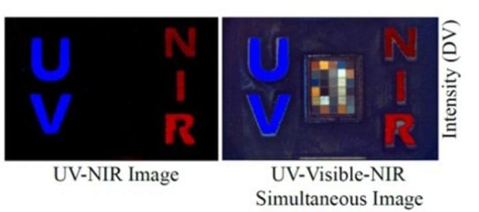 Researchers have developed a camera inspired by mantis shrimp vision that captures ultraviolet, near-infrared and visible images using a single chip. Shown are single exposures capturing deep UV fluorescence (tryptophan), visible color (Macbeth chart) and NIR fluorescence (ICG). Credit© Viktor Gruev, University of Illinois at Urbana-Champaign