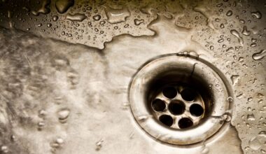 Auckland landlord Sujendra Sharma ordered to pay $25k to tenant over unhealthy home