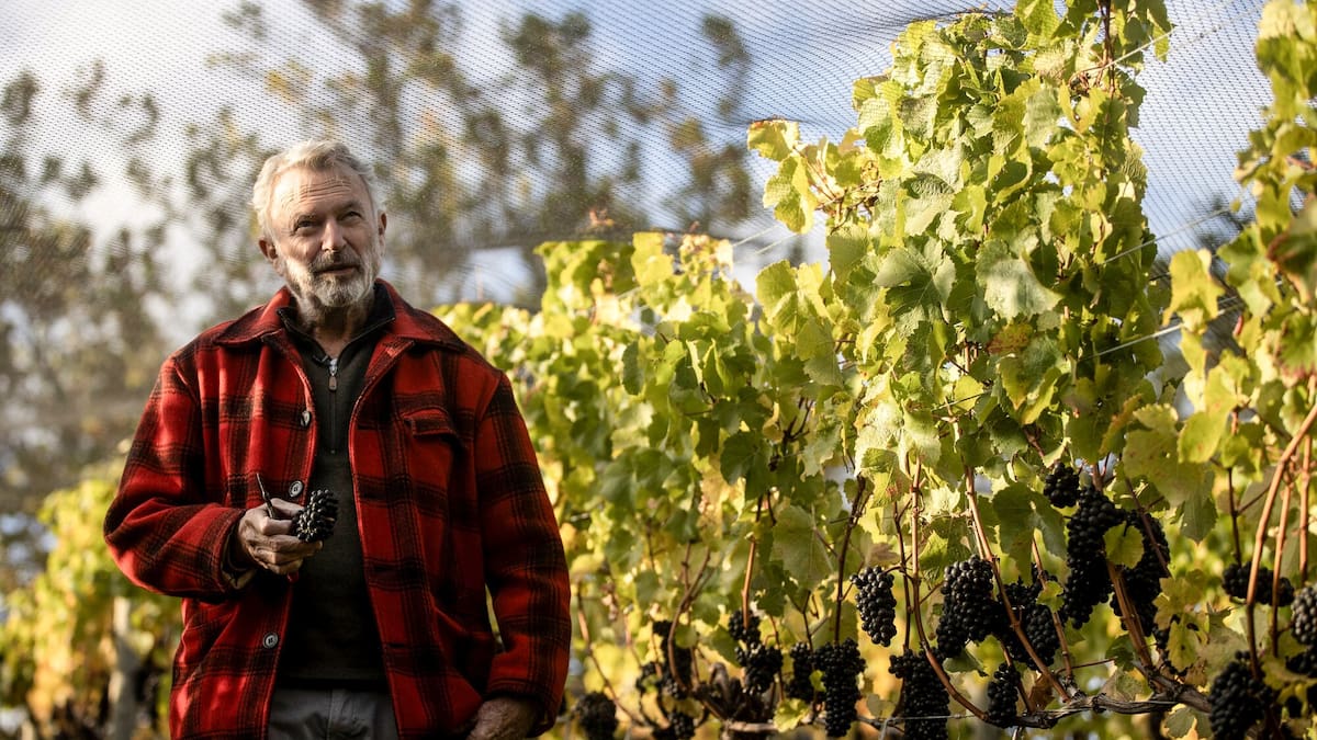 Sir Sam Neill says he received violent threats over Central Otago gold mine