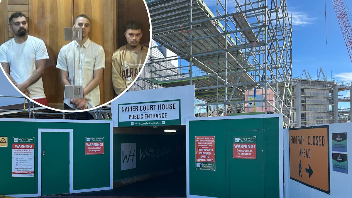 Four admit manslaughter of homeless man Boy Taylor in Napier, but deny murdering him