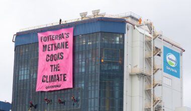 Greenpeace protesters who scaled 15-storey Fonterra building cost dairy giant almost $300k