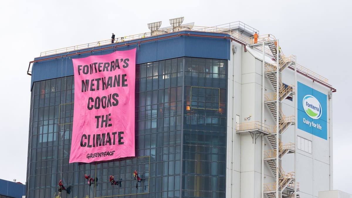 Greenpeace protesters who scaled 15-storey Fonterra building cost dairy giant almost $300k