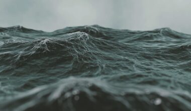 Crew rush to rescue after person falls overboard from deep-sea trawler