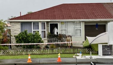 Hastings triple homicide: Oranga Tamariki says it had no involvement with family