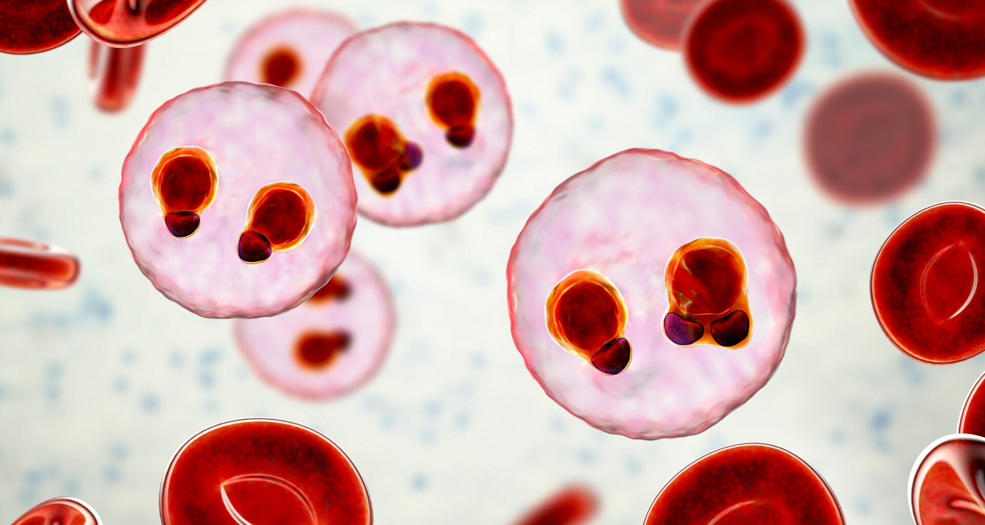 On World Malaria Day, look to the future while acknowledging the past