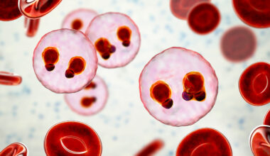 On World Malaria Day, look to the future while acknowledging the past