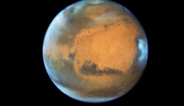 Curiosity rover finds building blocks of life on Mars
