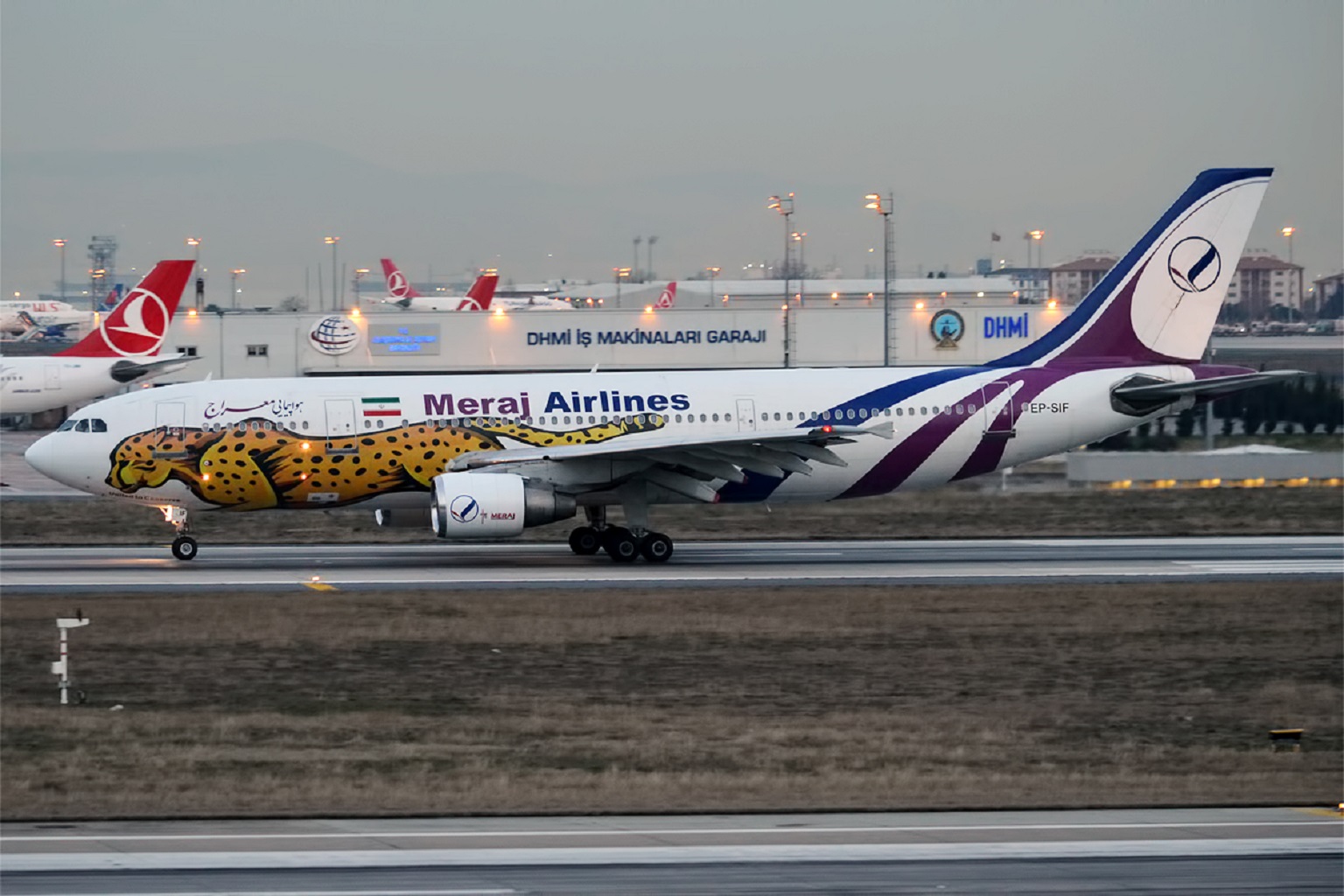 The Asiatic cheetah is seen on a Meraj Airlines Airbus at Istanbul’s Ataturk airport, 2019.