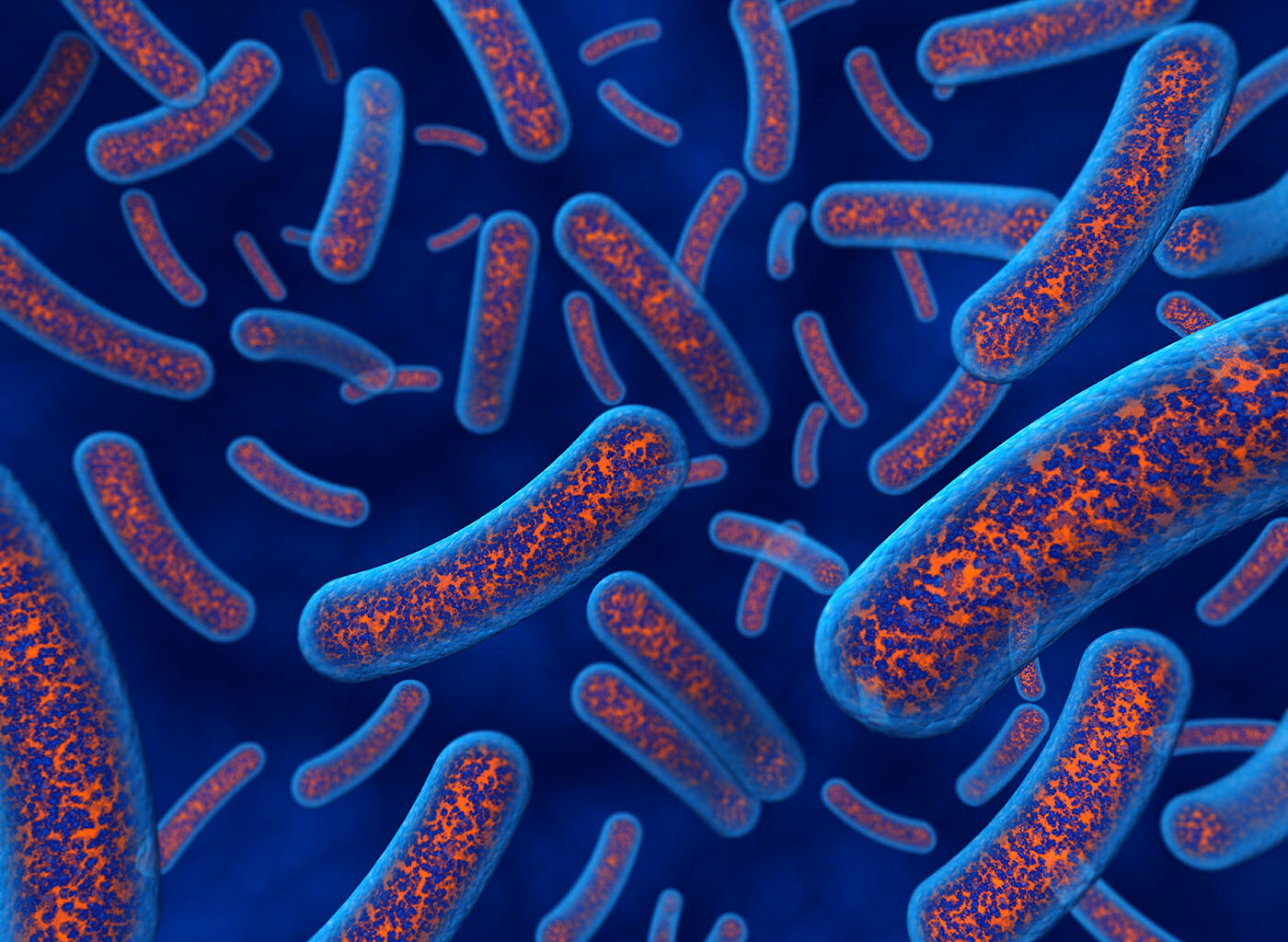 Retron-Powered Approach Enables Genome Editing Across Diverse Bacterial Species