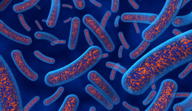 Retron-Powered Approach Enables Genome Editing Across Diverse Bacterial Species