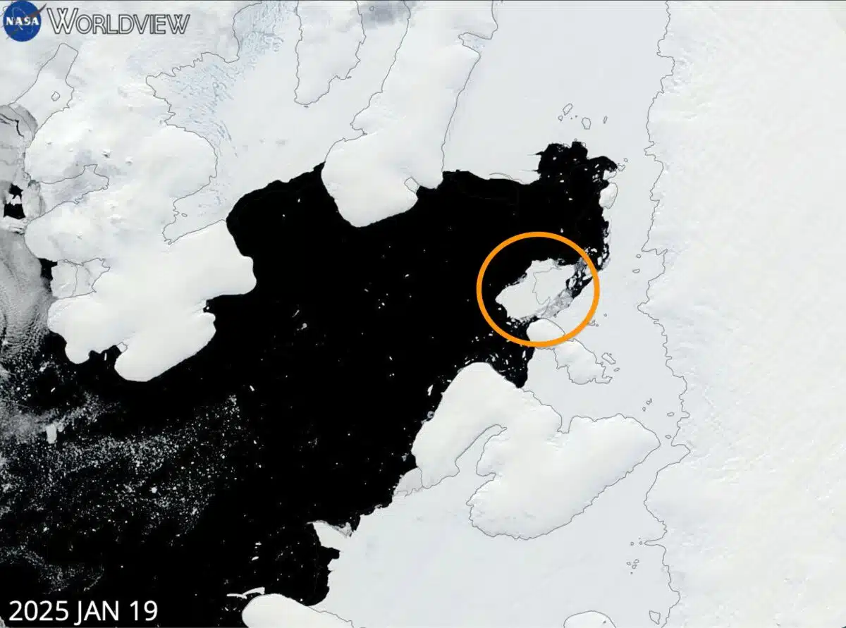 Nasa Image (jan 19, 2025) Showing The A 84 Iceberg Break And Newly Exposed Antarctic Seafloor.