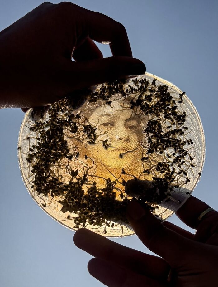 Layers That Germinate