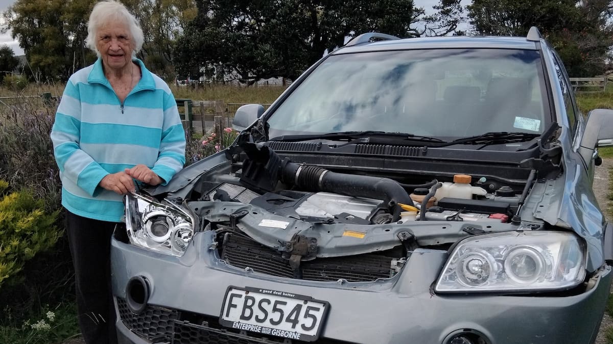 85-year-old’s crash near Ruatōria highlights dangers of roaming stock on SH35