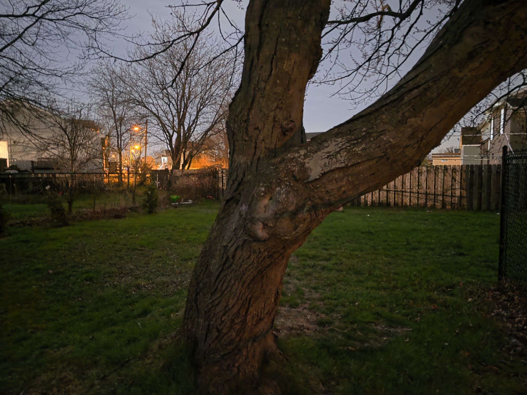 Samsung Galaxy S26 Ultra Standard Mode low light sample.