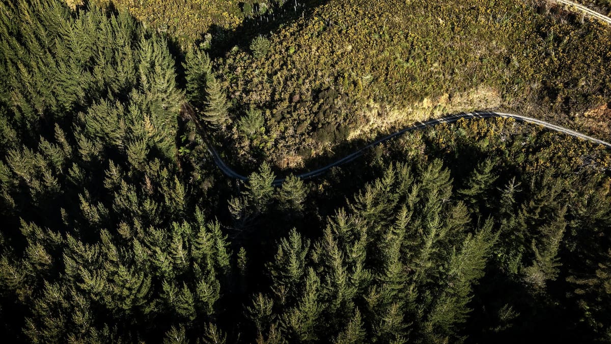 Hunter shot dead in the Ruahine Range near Dannevirke