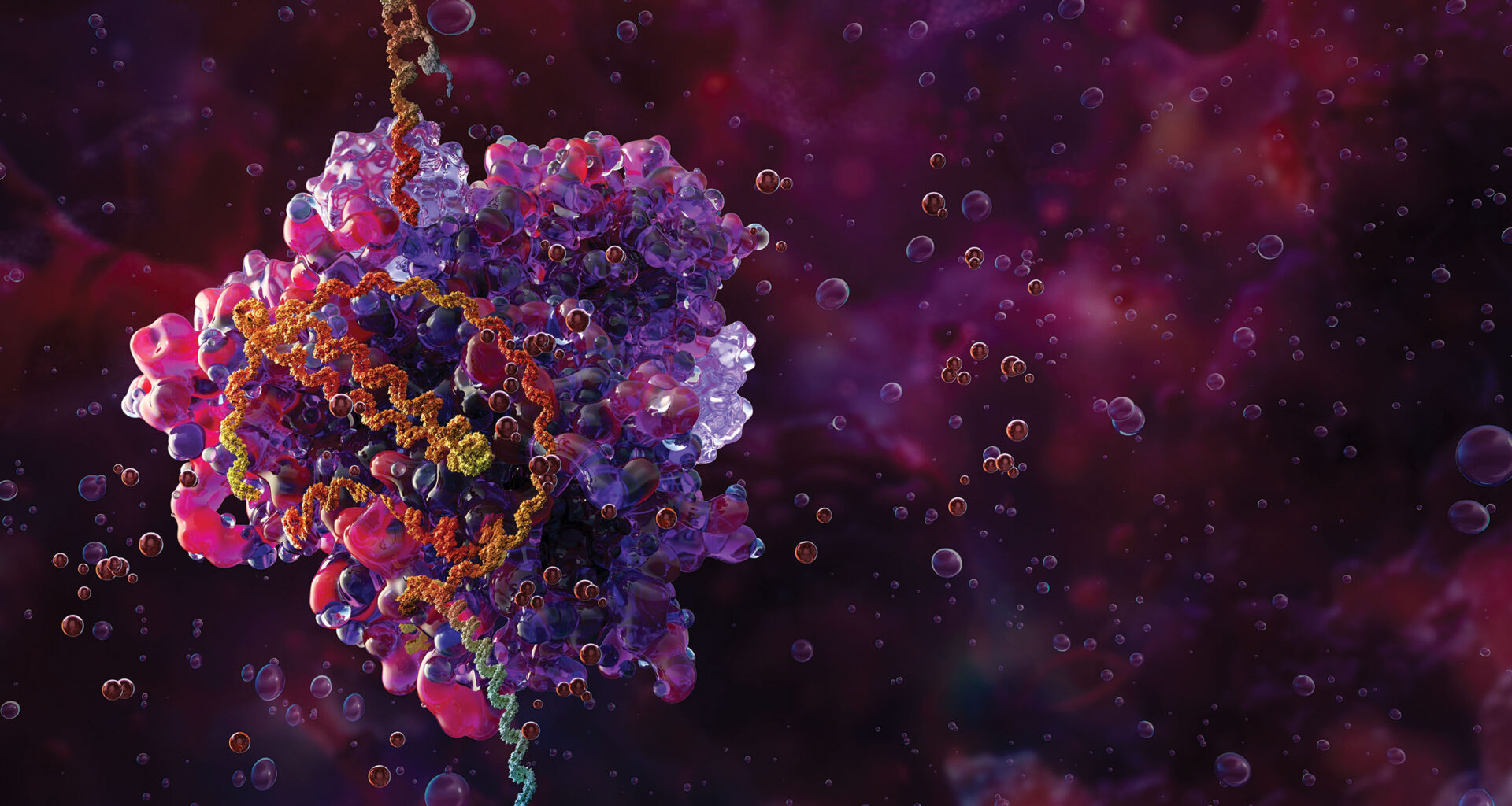 Methylation-sensitive Cas9 can selectively target DNA in tumor cells