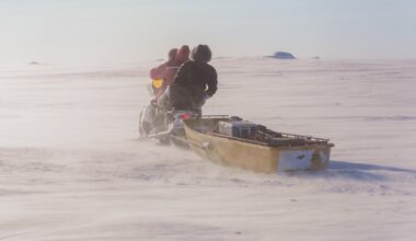 Not your normal commute