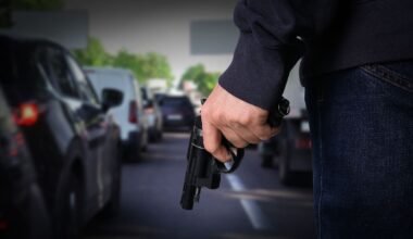 Two men charged after motorists in Northland and Waitematā allegedly followed, threatened with firearm