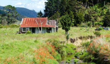 Pastures Past: Life in New Zealand’s remote backblocks during the 1920s