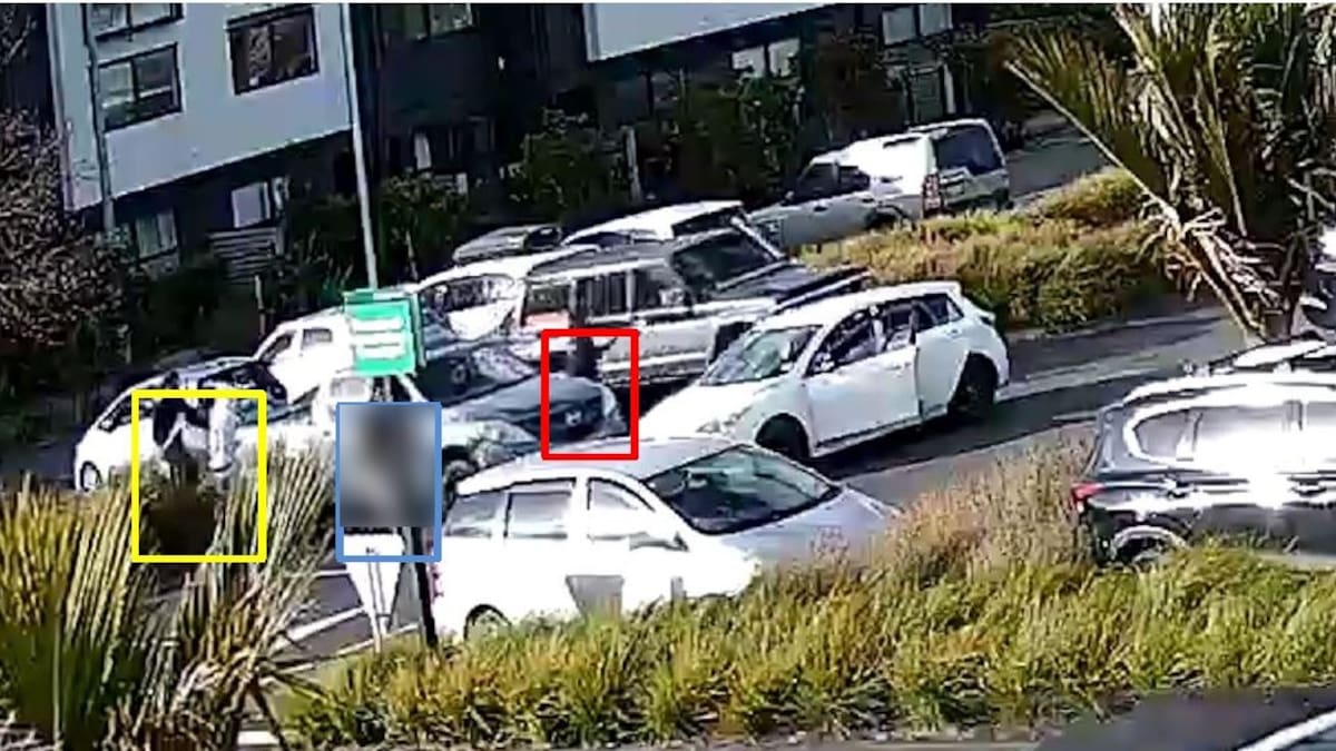 Malachi Betham admits violent Auckland robbery plot, two weeks after twin Elijah Betham