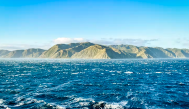 Could NZ tap into energy from the ocean?