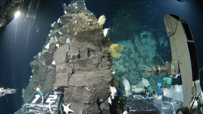 JMSTEC's Shinkai 6500 manned submersible, approaching the summit of one of the Shichiyo Seamounts, reaching from the seafloor to 1000m below the surface. (Credit: The Nippon Foundation-Nekton Ocean Census/©JAMSTEC)