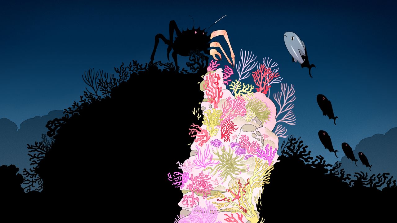 Trump’s Offshore-Drilling Dream Is a Recipe for Poisoning the Oceans