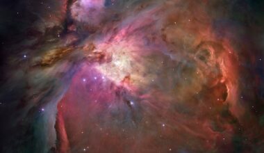 A new study reveals more about the processes driving stellar formation (Credit :  NASA, ESA, M. Robberto - Space Telescope Science Institute/ESA and the Hubble Space Telescope Orion Treasury Project Team)