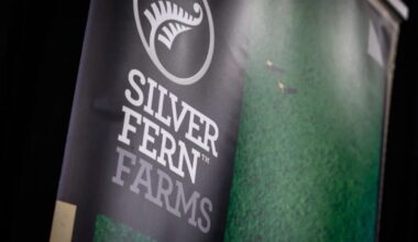 Silver Fern Farms posts $29.1m profit after two years of losses, halts Middle East exports