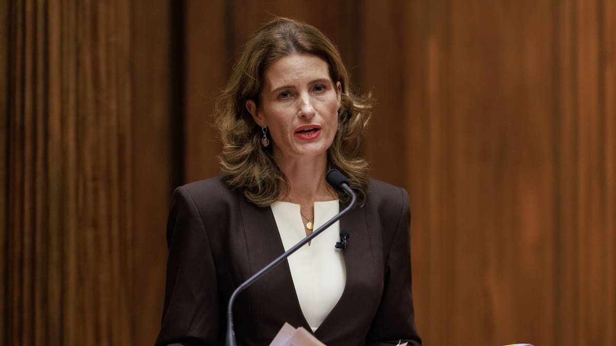 Finance Minister Nicola Willis says economic recovery is ‘delayed but not derailed’