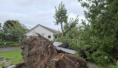 ‘Hell of a mess’: Downed trees rip up Gisborne fence and footpath