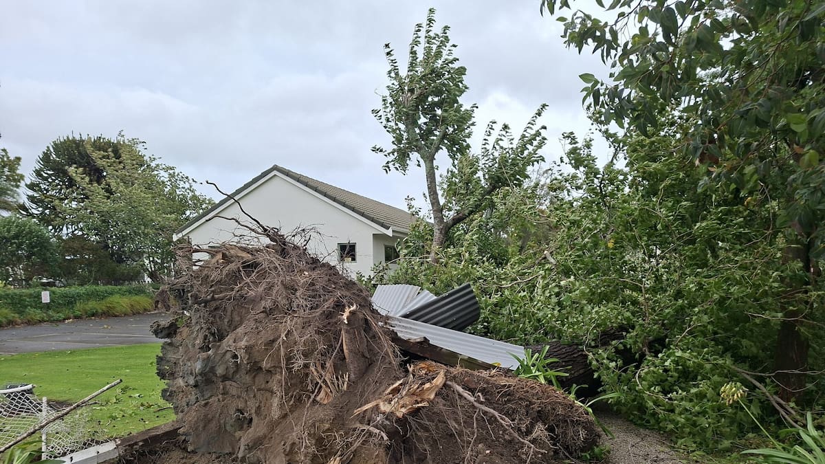 ‘Hell of a mess’: Downed trees rip up Gisborne fence and footpath
