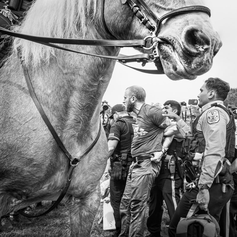 A black-and-white photo shows police officers arresting a man near a large horse. The horse dominates the foreground, while officers and onlookers stand behind, capturing the tense scene.