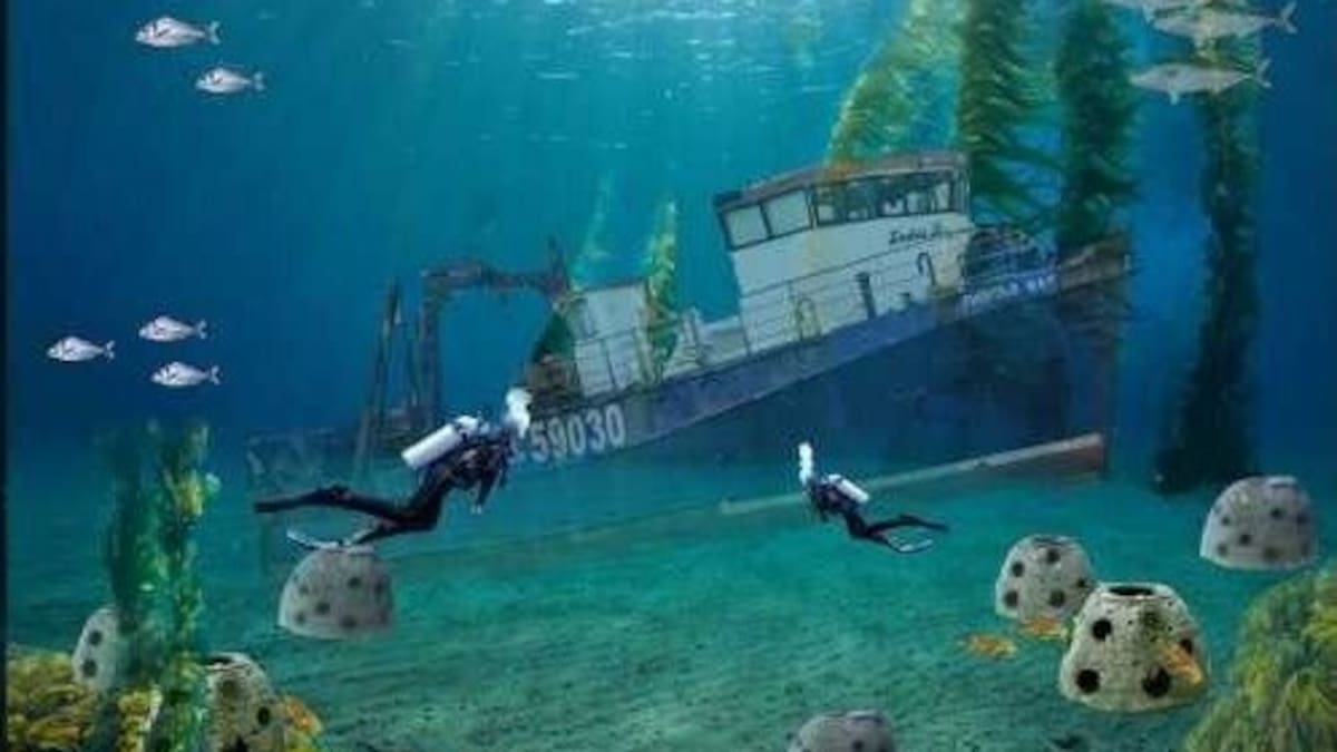 Napier: Twofold Bay trawler sinking and reef project full steam ahead