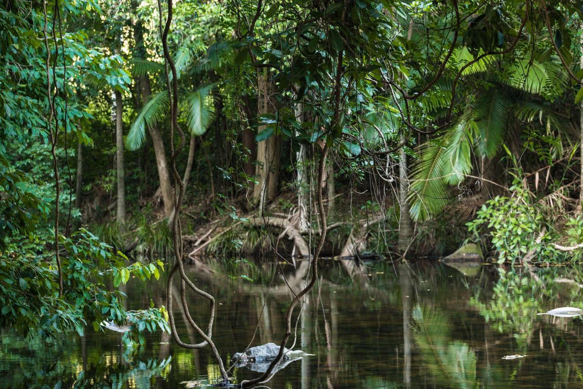 Paluma Range National Park in the Wet Tropics of Queensland