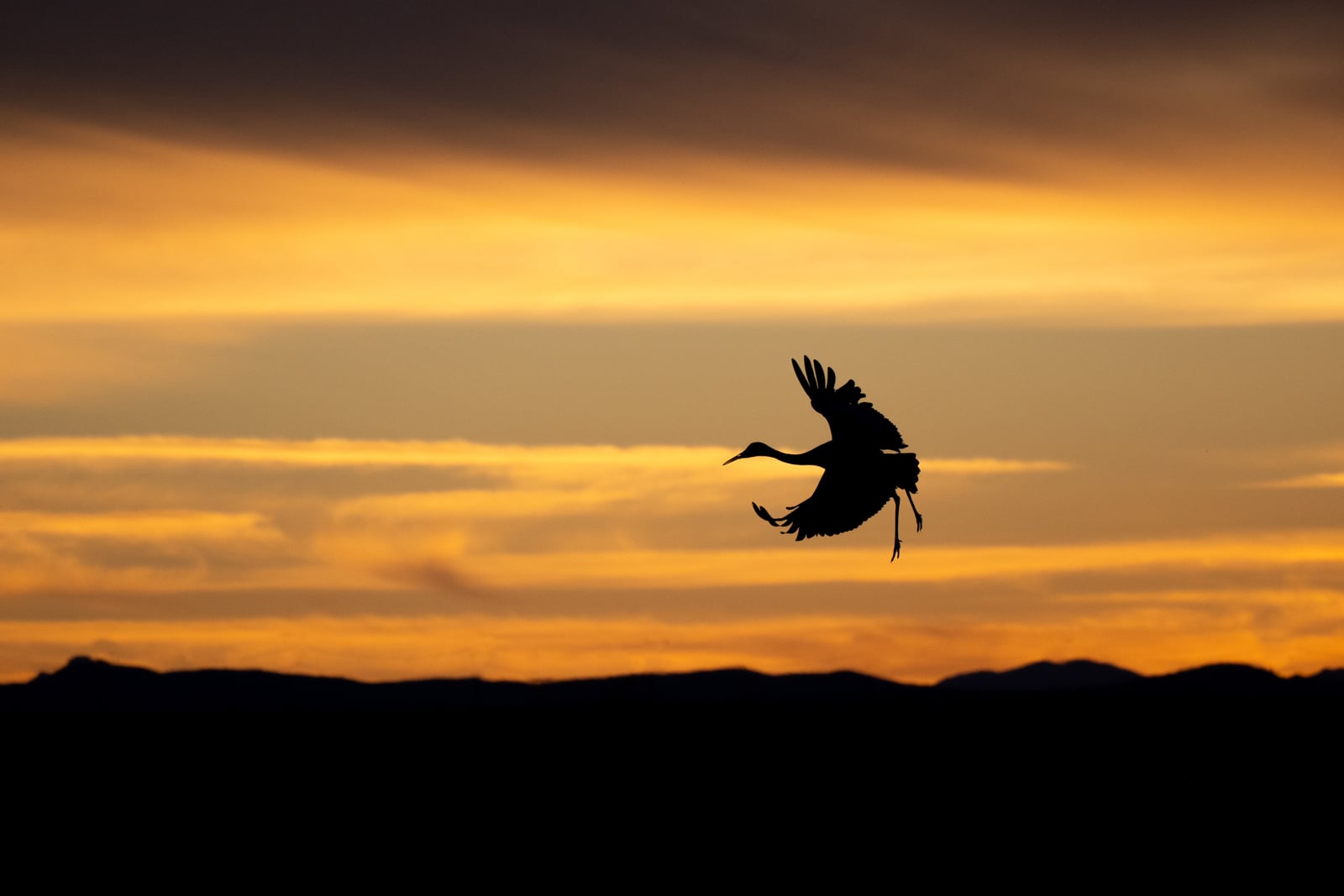 A silhouette of a bird in flight against a dramatic orange and yellow sunset sky, with mountains visible in the dark foreground.