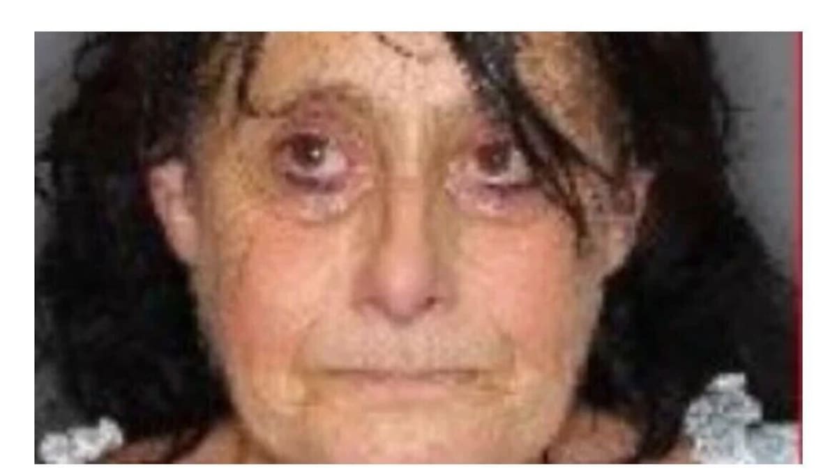 Serial shoplifter Anna Salari’s long list of victims as she’s jailed for latest spree