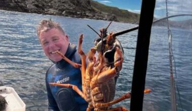 Invercargill man’s Lake Manapouri death linked to boat generator fumes, coroner finds