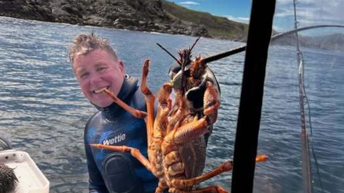 Invercargill man’s Lake Manapouri death linked to boat generator fumes, coroner finds